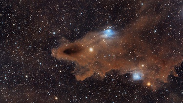 Dunkler Hai-Nebel, LDN 1235 im Sternbild Kepheus. Aufnahme vom 10.08.23. Insgesamt wurden 41 Fotos zu je 300 Sekunden zusammengerechnet. | Bild: Siegfried Riffel