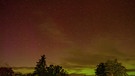 Polarlichter am 05.11.2023 in der Nähe von Dannenberg / Wendland in Niedersachsen | Bild: Ingrid Grundwald