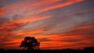 Himmel in sattem Abendrot nach Sonnenuntergang | Bild: picture-alliance/dpa
