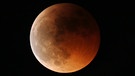 Die Mondfinsternis am 15. Juni 2011 über Gilching | Bild: Thomas Rose