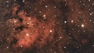 Emissionsnebel NGC 7822 im Sternbild Kepheus, fotografiert von Klaus Eltschka | Bild: Klaus Eltschka