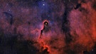 Der Elefantenrüsselnebel im Sternentstehungsgebiet IC 1396 im Sternbild Kepheus, fotografiert von Robin Peter. | Bild: Robin Peter