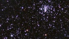 Offene Sternhaufen NGC 869/884 im Sternbild Perseus | Bild: Ingo S. Bonner