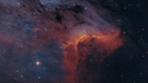 Pelikan-Nebel oder auch IC 5070 im Sternbild Schwan | Bild: Markus Bauer