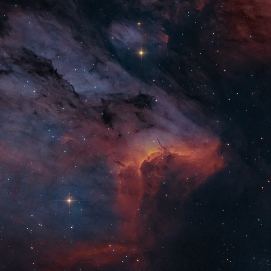 Pelikan-Nebel oder auch IC 5070 im Sternbild Schwan | Bild: Markus Bauer