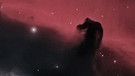 Pferdekopfnebel vor dem dunklen Emissionsnebel IC 434, durch den er hinterleuchtet und sichtbar wird. | Bild: Walter Wilhelm
