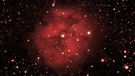 Kokon-Nebel im Sternbild Schwan (IC 5146). In dem Nebel, 3.000 Lichtjahre von uns entfernt, ist ein ganzer Sternhaufen eingebettet. Fotografiert am 28.08.2016, gestackt und bearbeitet von Paul Trinkler | Bild: Paul Trinkler