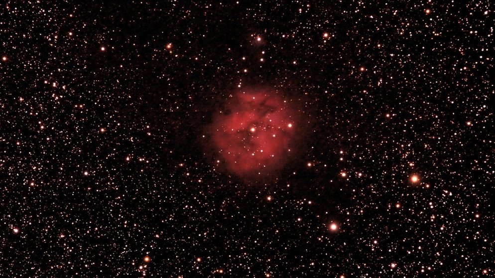 Kokon-Nebel im Sternbild Schwan (IC 5146). In dem Nebel, 3.000 Lichtjahre von uns entfernt, ist ein ganzer Sternhaufen eingebettet. Fotografiert am 28.08.2016, gestackt und bearbeitet von Paul Trinkler | Bild: Paul Trinkler