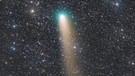 Komet 21P/Giacobini-Zinner am 20. September 2018 Thomas Schönpos | Bild: Thomas Schönpos