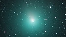 Komet 46P/Wirtanen am 30. November 2018,  fotografiert von Michael Jäger. Die Koma des Kometen, die Wolke aus Staub und Gas um den Kometenkern, misst nach Einschätzung des Fotografen etwa ein Grad im scheinbaren Durchmesser - ein halber Fingerbreit. | Bild: Michael Jäger