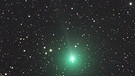 Komet 46P/Wirtanen am 10. November 2018, fotografiert von Martin Mobberley. | Bild: Martin Mobberley