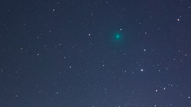 Komet 46P/Wirtanen am 5. Dezember 2018, aufgenommen von Kerry-Ann Lecky Hepburn | Bild: Kerry-Ann Lecky Hepburn