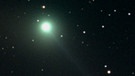 Komet C/2009 P1 Garradd, aufgenommen am 2. März 2012 | Bild: Helmut Herbel