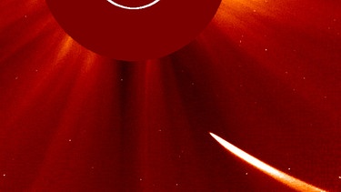Der Komet ISON am 28 November um 16.42 Uhr MEZ. Drei Stunden vor seinem Perihel begeistert er Astronomen weltweit, denn ISON wird immer heller. Aufgenommen von der Sonde SOHO | Bild: NASA / ESA / SOHO