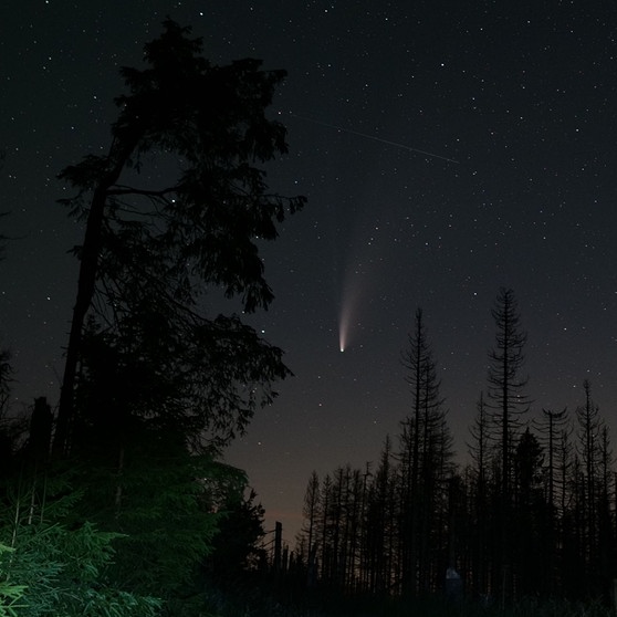 Komet Neowise C2020 F3 am 11. Juli 2020 über Sankt Andreasberg im Harz, fotografiert von Frank Rothschuh | Bild: Frank Rothschuh