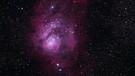 Der Lagunen-Nebel (Messier 8 oder NGC 6523) im Sternbild Schütze. Paul Trinkler hat ihn auf der Sternwarte vom Verein IAS in Namibia fotografiert.  | Bild: Paul Trinkler