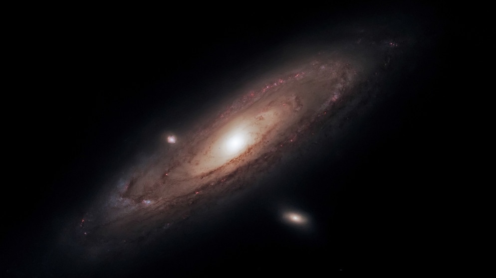 Messier M31 | Bild: Walter Wilhelm
