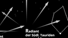 Sternkarte mit den Radianten der Nördlichen und Südlichen Tauriden-Sternschnuppen. Der Meteor-Strom hat seinen scheinbaren Ausstrahlungspunkt bei den Sternbildern Stier, Zwillinge und Fuhrmann | Bild: BR, Skyobserver