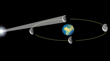 Während der Mond um die Erde kreist, wird er immer zur Hälfte von der Sonne beschienen. Doch aus unserer Sicht sehen wir davon immer einen anderen Ausschnitt. Mal ist seine Scheibe voll von der Sonne angestrahlt (Vollmond), mal nur ein Teil seiner Scheibe beleuchtet (Halbmond oder Mondsichel). | Bild: BR, NASA