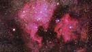 Der Nordamerikanebel (NGC 7000) im Sternbild Schwan. Die rote Farbe stammt von ionisiertem Wasserstoff (HII), aus dem der Nebel vor allem besteht.  | Bild: Sascha Weiss