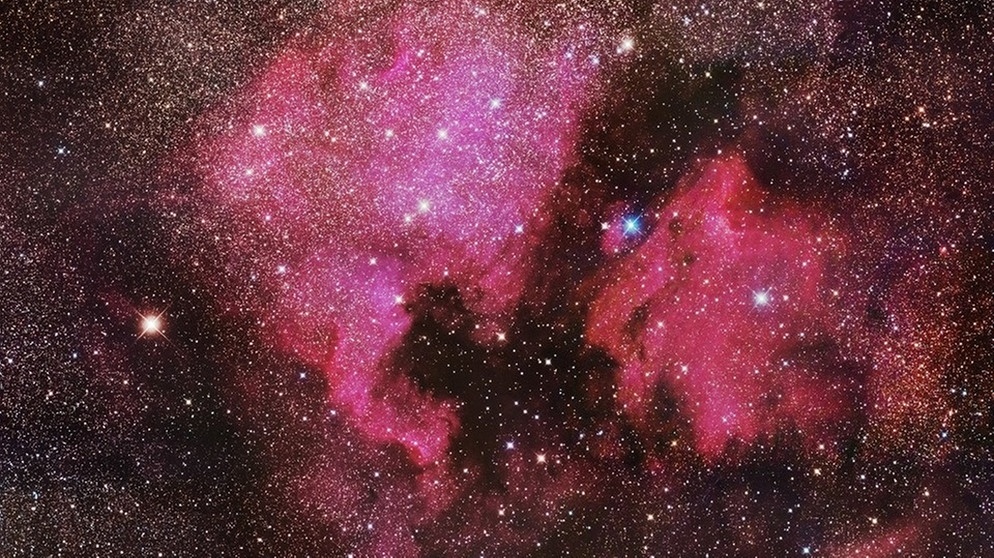 Der Nordamerikanebel (NGC 7000) im Sternbild Schwan. Die rote Farbe stammt von ionisiertem Wasserstoff (HII), aus dem der Nebel vor allem besteht.  | Bild: Sascha Weiss