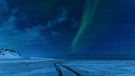 Nordlicht (Polarlicht) in Island, aufgenommen im Januar 2019 | Bild: Anja Caesperlein