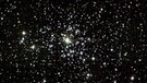 Sternhaufen M37 (NGC 2099) im Sternbild Fuhrmann. Der Offene Sternhaufen besteht aus rund 150 Sternen und erreicht eine scheinbare Helligkeit von 6 mag. | Bild: 2MASS