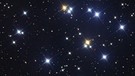 Der Offene Sternhaufen Praesepe oder Krippe im Sternbild Krebs, Messier-Objekt M44. | Bild: imago/Stock Trek Images