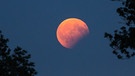 Partielle Mondfinsternis am 7. August 2017 kurz nach Mondaufgang, aufgenommen bei der Allgäuer Volkssternwarte Ottobeuren von Robert Blasius. | Bild: Robert Blasius
