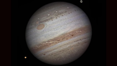 Gasplanet Jupiter mit seinem Großen Roten Fleck und zwei Monden, aufgenommen von der Erde aus | Bild: NASA/Damian Peach