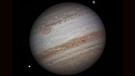 Gasplanet Jupiter mit seinem Großen Roten Fleck und zwei Monden, aufgenommen von der Erde aus | Bild: NASA/Damian Peach