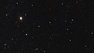 Der Planet Mars (am oberen Bildrand, etwas links der Mitte) steht Ende Oktober 2022 zwischen den beiden Spitzen der Stierhörner. Rechts von ihm ist das deutliche liegende V des Stierkopfs erkennbar. Mars steht mitten im Wintersechseck. Unter ihm ist das markante Sternbild Orion sichtbar (Bildmitte), links unten zwischen den Zweigen strahlt Sirius, der hellste Stern am Sternenhimmel. Mars wandert von hier rechtswärts, im Dezember, wenn unser Nachbarplanet in Opposition steht, zieht er über den Stierkopf hinweg. | Bild: Martin Wally