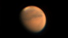 Der Planet Mars am 28. Juli 2020, aufgenommen mit 2400 mm Brennweite an einem 200mm Newton Teleskop von Michael Deisinger | Bild: Michael Deisinger