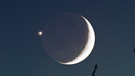 Die junge Mondsichel mit aschfahlem Mondlicht am Abendhimmel neben dem Planeten Venus | Bild: Johannes Schedler / Panther Observatory