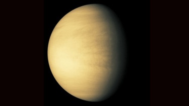 Unser Nachbarplanet Venus im sichtbaren Licht, aufgenommen von der NASA-Sonde Galileo | Bild: NASA