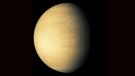 Scheinbar heller und größer als jeder andere Stern: unser Nachbarplanet Venus. Wenn sie weit genug von der Sonne entfernt ist wird sie sogar tagsüber sichtbar.  | Bild: NASA