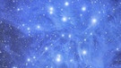 Die Plejaden (Siebengestirn), ein offener Sternhaufen im Sternbild Stier | Bild: NASA, Tony Hallas