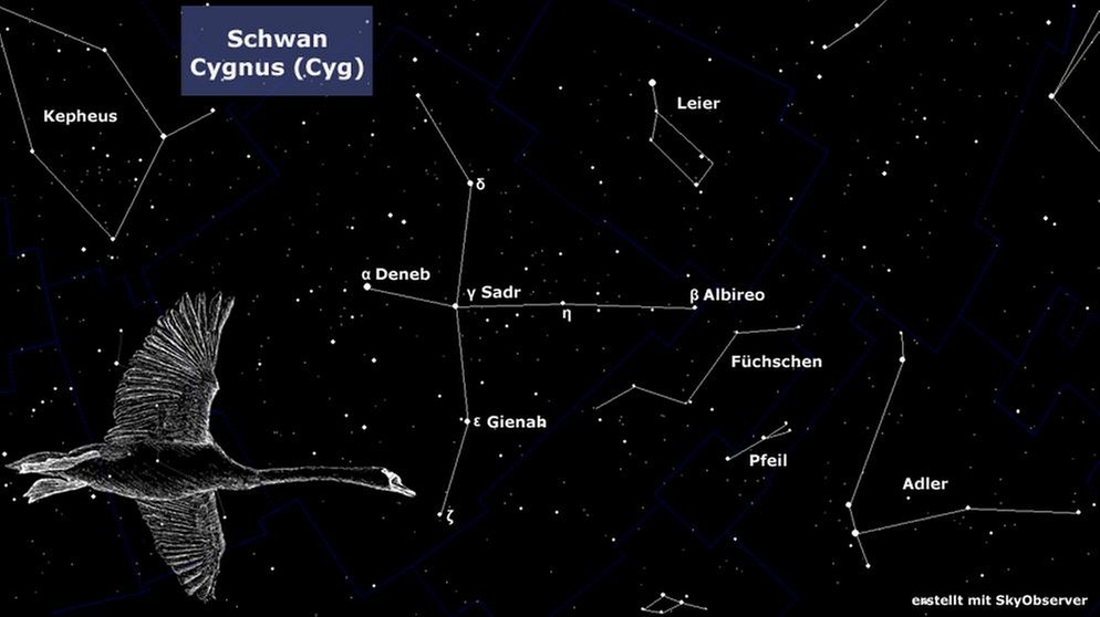 Sternkarte für das Sternbild Schwan (Cygnus) mit seinen hellsten Sternen Deneb, Albireo, Sadr und Gienah | Bild: BR, Skyobserver