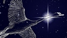 symbolische Darstellung der Sternilder Leier (Lyra), Schwan (Cygnus) und Schütze (Sagitarius) vor dem Sternenhimmel | Bild: BR, colourbox.com, NASA/U.S. Naval Observatory's Library