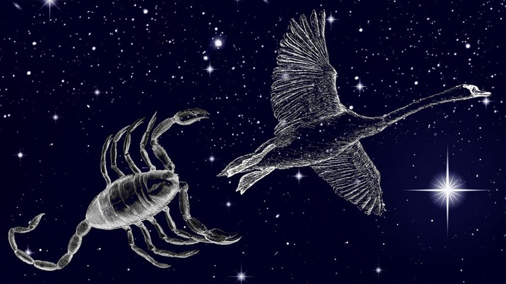 symbolische Darstellung der Sternilder Schwan (Cygnus) und Skorpion (Scorpio) vor dem Sternenhimmel | Bild: NASA/U.S. Naval Observatory's Library, colourbox.com, BR