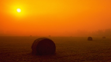 herbstliche Sonne kurz vor Sonnenuntergang über einer Wiese mit einem Heuballen | Bild: Photosphere