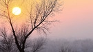 Die winterliche Sonne scheint hinter einem kahlen Baum, während sich der Himmel kurz vor Sonnenuntergang in zartem Abendrot färbt | Bild: picture-alliance/dpa