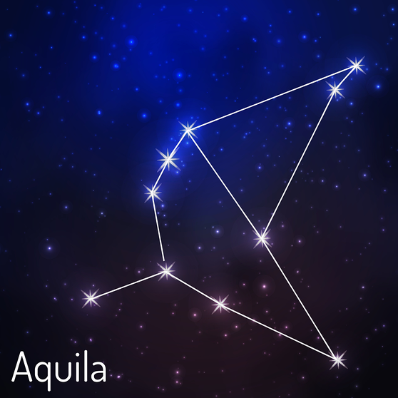 symbolische Darstellung des Sternilds Adler (Aquila) mit seinen hellsten Sternen Atair und Tazared | Bild: colourbox.com