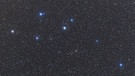 Das Sternbild Delphin in einer Nahaufnahme. Fünf Sterne der dritten und vierten Größenklasse bilden das markante Sternbild - eine Raute mit Schwanz, die tatsächlich einem Delfin ähnelt. | Bild: imago/StockTrek Images