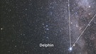 Sternbild Delphin neben dem Sommerdreieck aus den Sternbildern Schwan, Adler und Leier auf der Milchstraße. | Bild: imago/Leemage