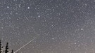 Sternbild Großer Bär (Großer Wagen) über dem Horizont im Norden. | Bild: imago/Stock Trek Images