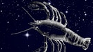 Der Krebs vor dem Sternenhimmel (Symbolbild für das Sternbild) | Bild: BR, NASA/U.S. Naval Observatory's Library, colourbox.com