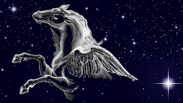 Symbolische Darstellung des Sternilds Pegasus. Seine vier hellsten Sterne bilden ein markantes Viereck, das im Herbst hoch am Sternenhimmel steht. | Bild: NASA/U.S. Naval Observatory's Library, colourbox.com