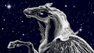 Symbolische Darstellung des Sternilds Pegasus. Seine vier hellsten Sterne bilden ein markantes Viereck, das im Herbst hoch am Sternenhimmel steht. | Bild: NASA/U.S. Naval Observatory's Library, colourbox.com