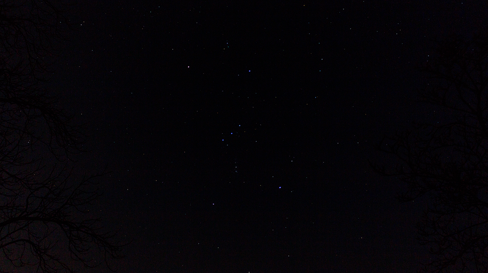 Sternbild Orion | Bild: Sina Gulder